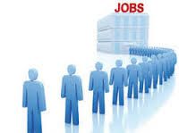 Placement Services  / Job Links